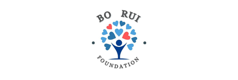 bo rui Logo